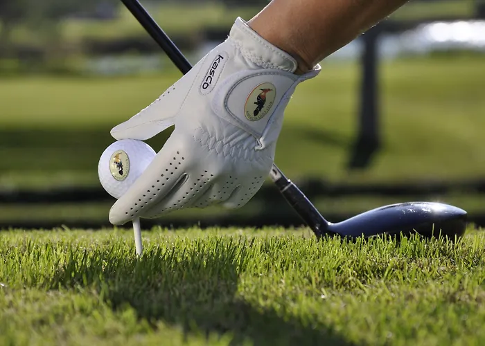 Kempinski The Dome 5*